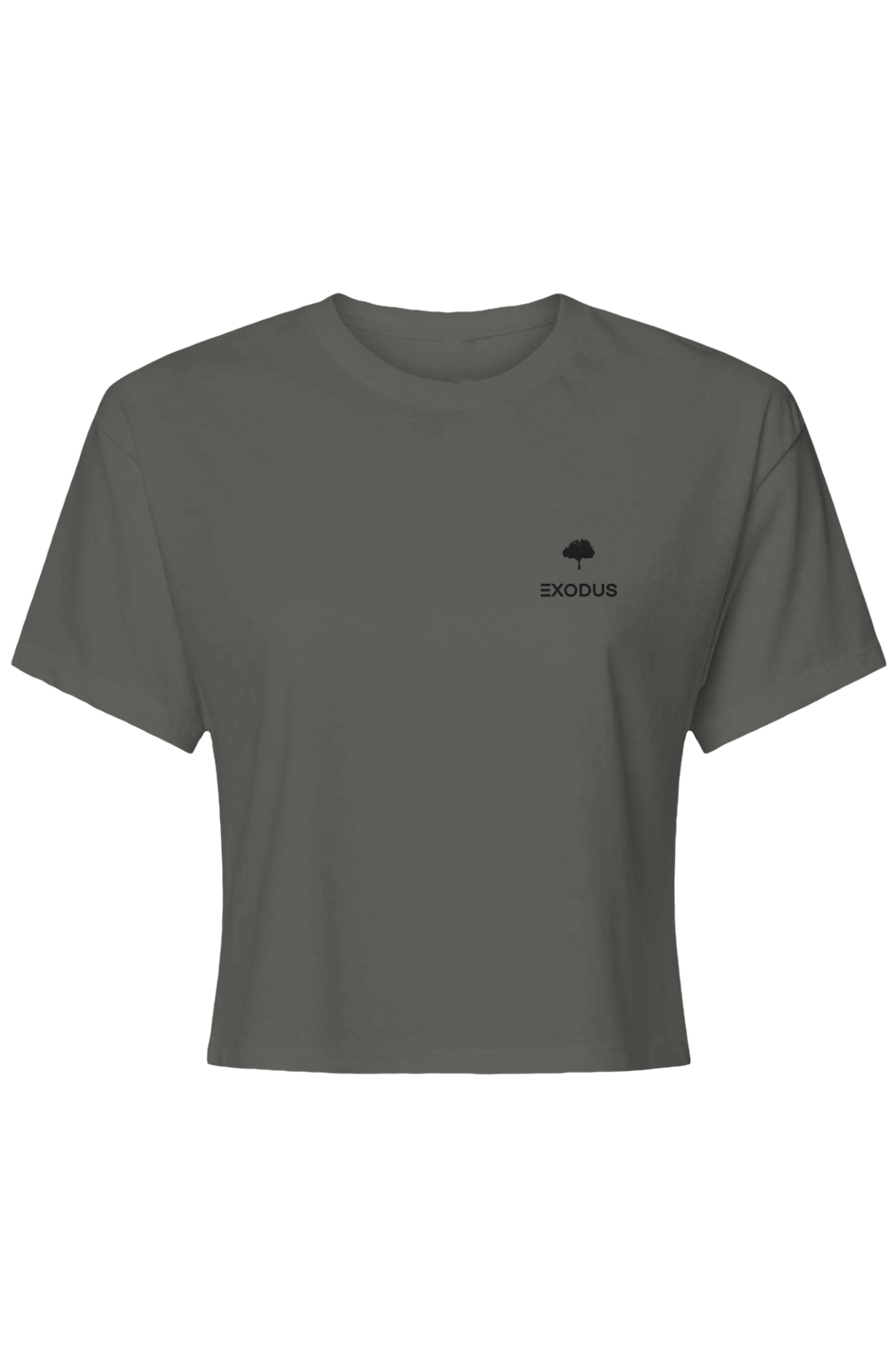 Jesus Is Lord - Womens Ideal Crop Top