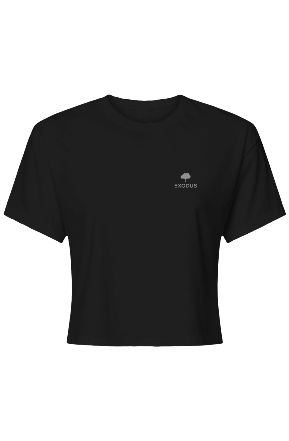 Jesus Is Lord - Womens Ideal Crop Top