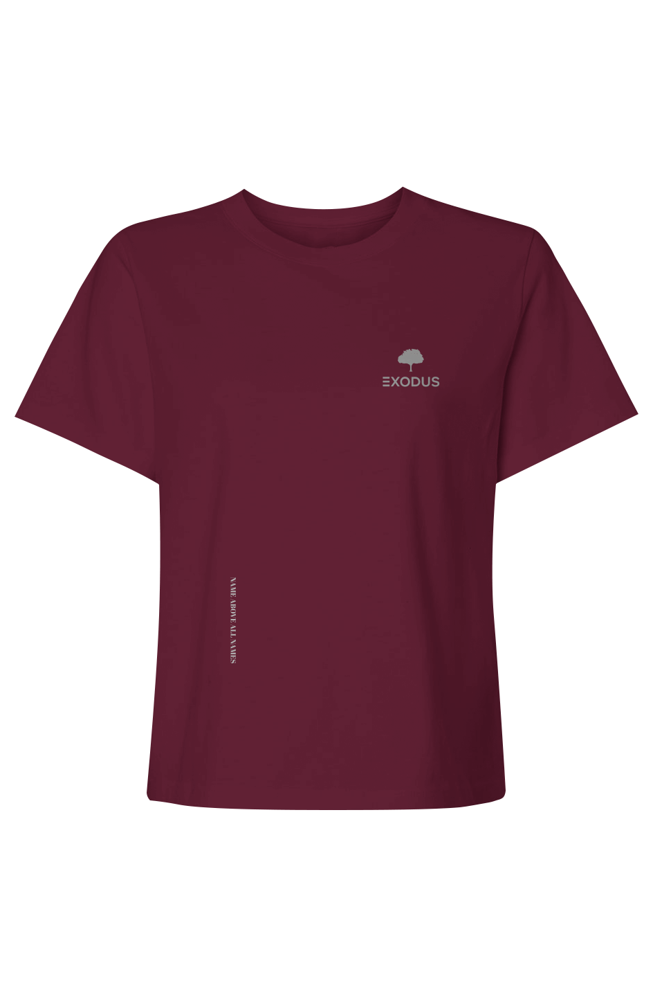 Name Above All Names - Womens Heavyweight Tee