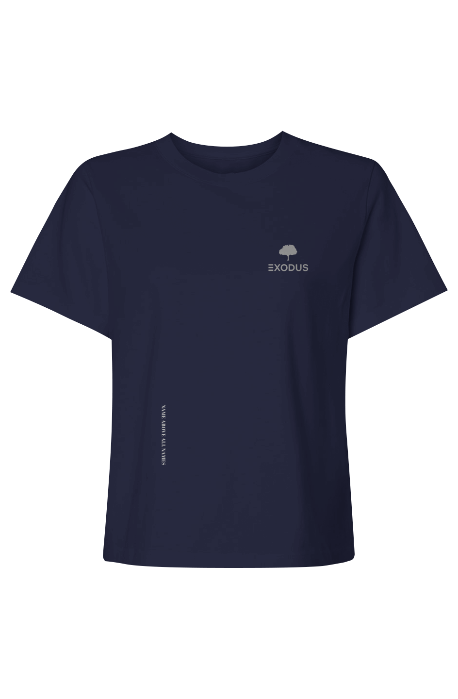 Name Above All Names - Womens Heavyweight Tee