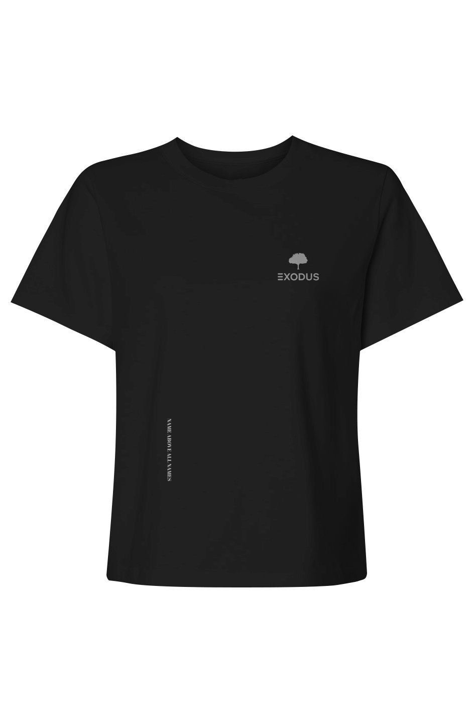 Name Above All Names - Womens Heavyweight Tee