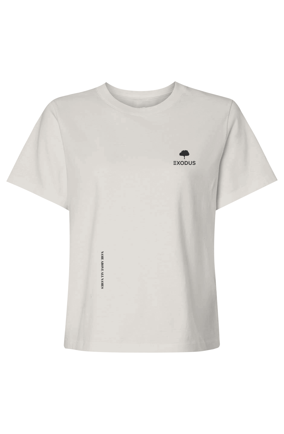 Name Above All Names - Womens Heavyweight Tee