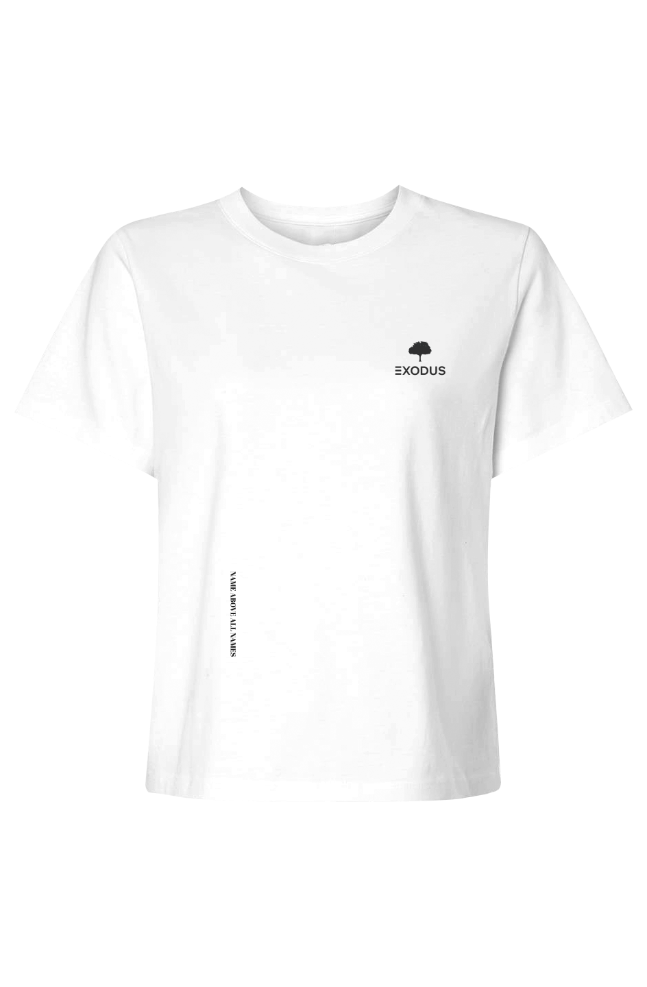 Name Above All Names - Womens Heavyweight Tee