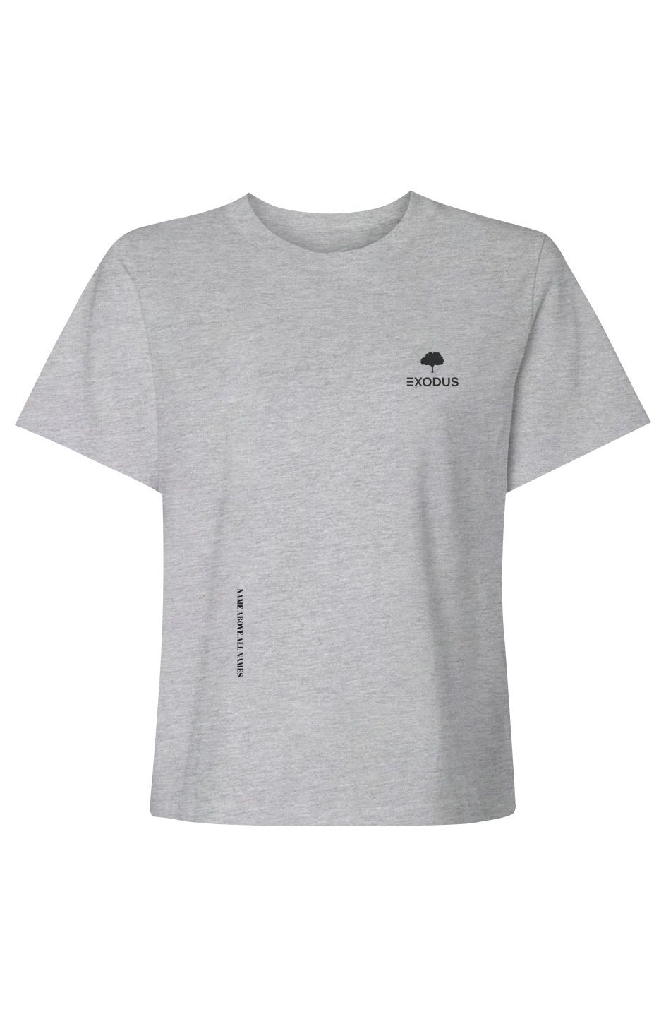 Name Above All Names - Womens Heavyweight Tee